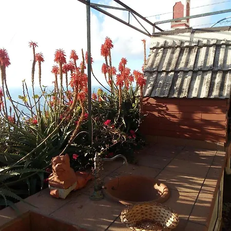 In Mit Garten Holiday home *