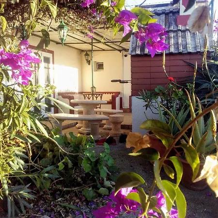 In Mit Garten *
